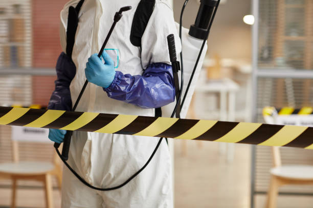 Professional Odor Removal technician working in Avery, CA